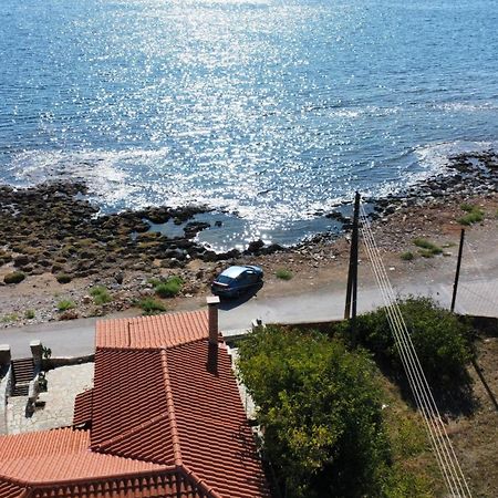 Seaside Apartment آغيوس نيكولاوس المظهر الخارجي الصورة